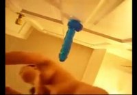 dildo porn