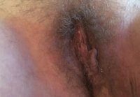 hairy pussy