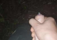 outdoor sex