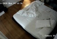 free webcam porn