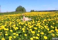 Blowjob from A stranger On a Field with dandelions