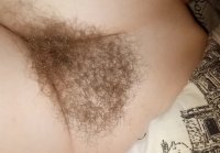 hairy pussy