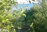 Tuvimos sexo en el bosque con el ex