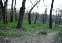 Filmed his wife on camera as they fuck her in nature