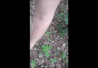 amateur videos