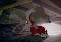 Balto S Jenna   Animación feral