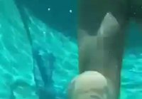 Underwater blowjob