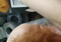 videos amateur