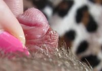 hairy sex