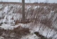 Bet a blowjob outdoors in the middle of a snowy field